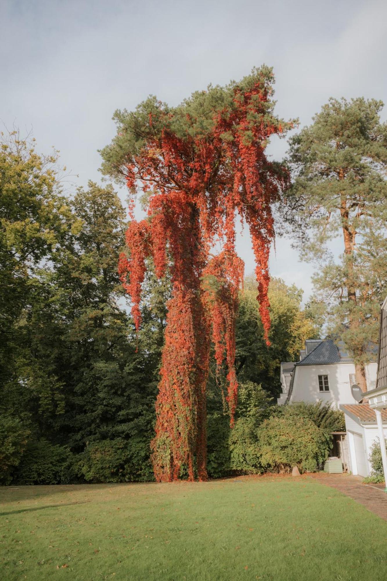 Nook X Seepalais Boutique Hotel Bad Saarow-Pieskow Exterior foto